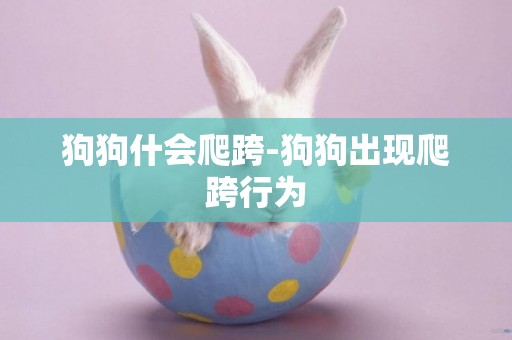 狗狗什會爬跨-狗狗出現爬跨行為