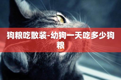 狗糧吃散裝-幼狗一天吃多少狗糧