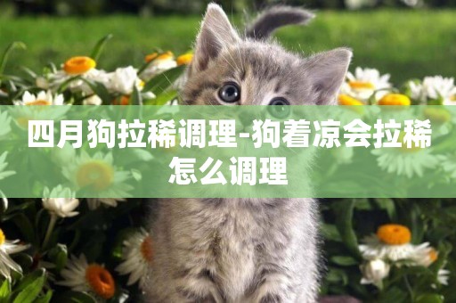 四月狗拉稀調理-狗著涼會拉稀怎么調理