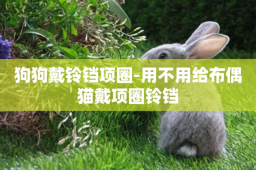 狗狗戴鈴鐺項圈-用不用給布偶貓戴項圈鈴鐺