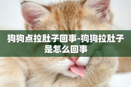 狗狗點拉肚子回事-狗狗拉肚子是怎么回事