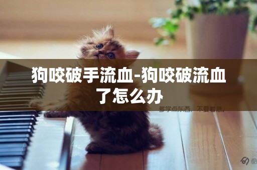 狗咬破手流血-狗咬破流血了怎么辦