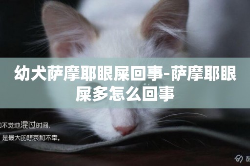 幼犬薩摩耶眼屎回事-薩摩耶眼屎多怎么回事