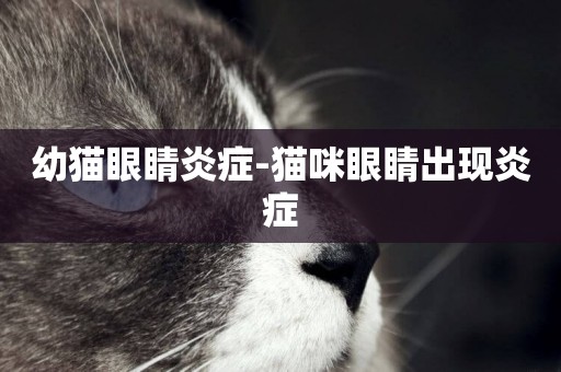 幼貓眼睛炎癥-貓咪眼睛出現炎癥