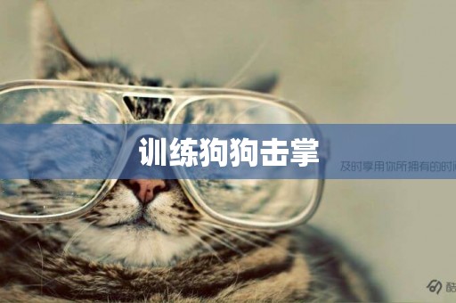 訓練狗狗擊掌
