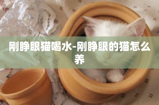 剛睜眼貓喝水-剛睜眼的貓怎么養