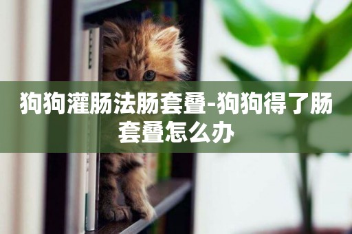 狗狗灌腸法腸套疊-狗狗得了腸套疊怎么辦