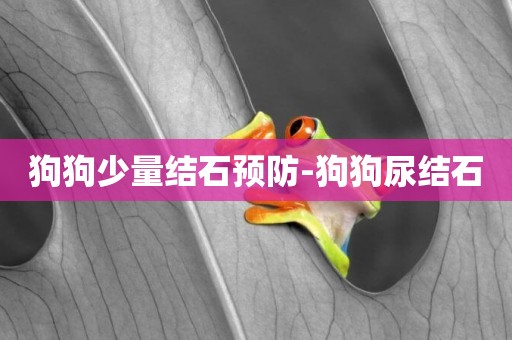 狗狗少量結石預防-狗狗尿結石