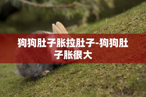 狗狗肚子脹拉肚子-狗狗肚子脹很大