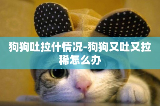 狗狗吐拉什情況-狗狗又吐又拉稀怎么辦