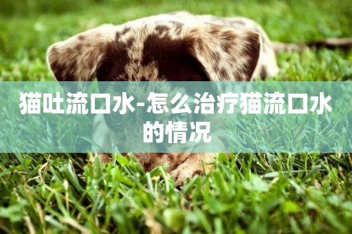 貓吐流口水-怎么治療貓流口水的情況
