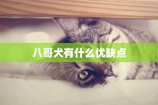 八哥犬有什么優缺點