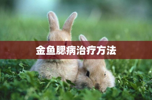 金魚腮病治療方法