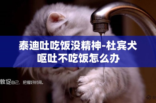 泰迪吐吃飯沒精神-杜賓犬嘔吐不吃飯怎么辦