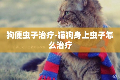 狗便蟲子治療-貓狗身上蟲子怎么治療