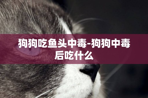 狗狗吃魚頭中毒-狗狗中毒后吃什么