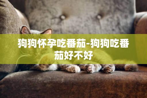 狗狗懷孕吃番茄-狗狗吃番茄好不好