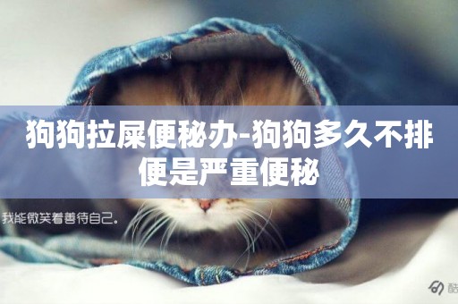 狗狗拉屎便秘辦-狗狗多久不排便是嚴重便秘