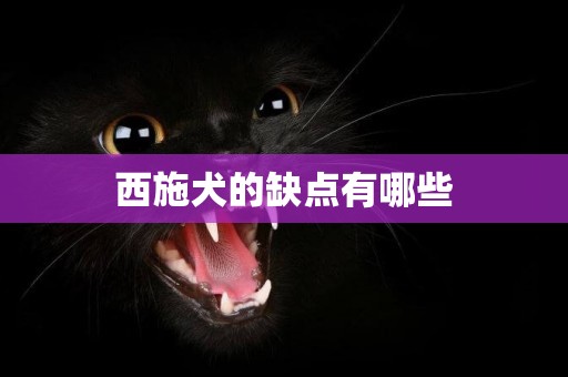 西施犬的缺點有哪些