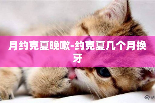 月約克夏晚嗽-約克夏幾個月換牙