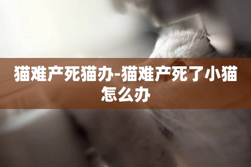 貓難產死貓辦-貓難產死了小貓怎么辦