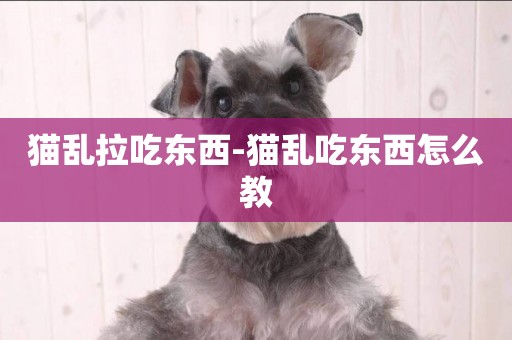 貓亂拉吃東西-貓亂吃東西怎么教