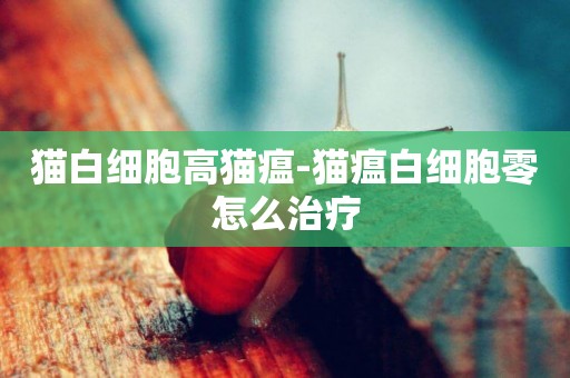 貓白細胞高貓瘟-貓瘟白細胞零怎么治療
