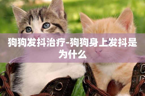 狗狗發抖治療-狗狗身上發抖是為什么