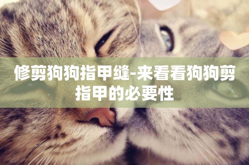 修剪狗狗指甲縫-來看看狗狗剪指甲的必要性