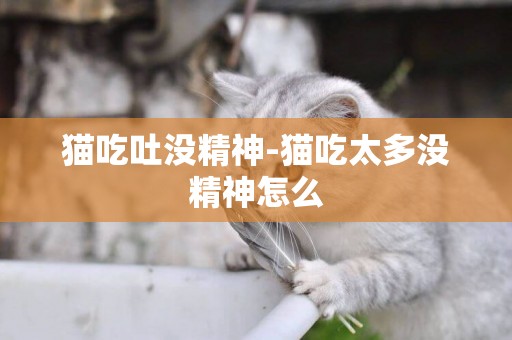 貓吃吐沒精神-貓吃太多沒精神怎么