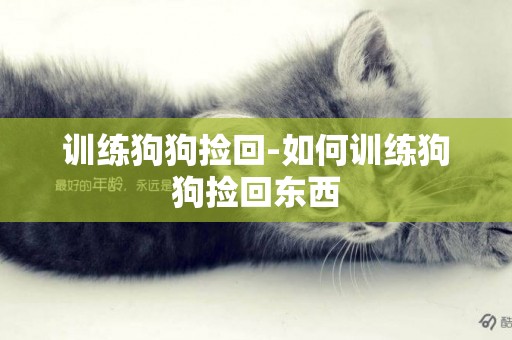 訓練狗狗撿回-如何訓練狗狗撿回東西
