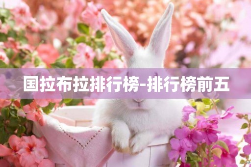 國拉布拉排行榜-排行榜前五