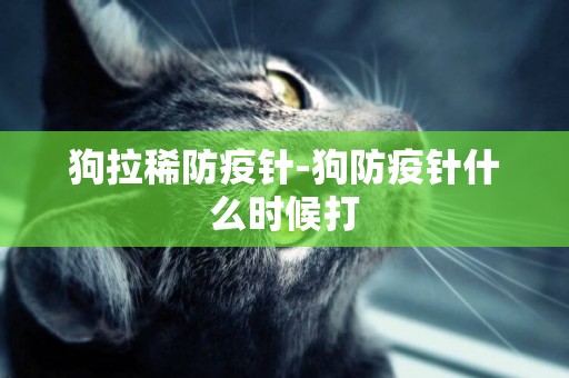 狗拉稀防疫針-狗防疫針什么時候打