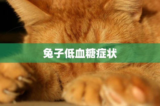 兔子低血糖癥狀