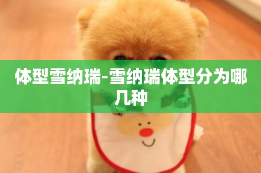 體型雪納瑞-雪納瑞體型分為哪幾種