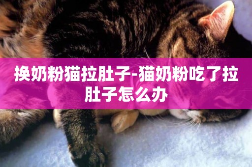 換奶粉貓拉肚子-貓奶粉吃了拉肚子怎么辦