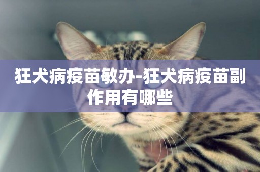 狂犬病疫苗敏辦-狂犬病疫苗副作用有哪些