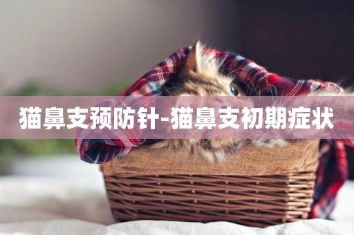 貓鼻支預防針-貓鼻支初期癥狀