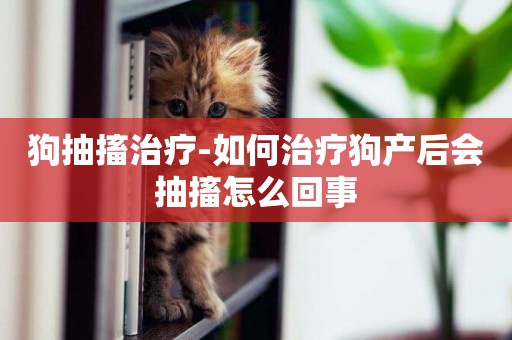 狗抽搐治療-如何治療狗產后會抽搐怎么回事