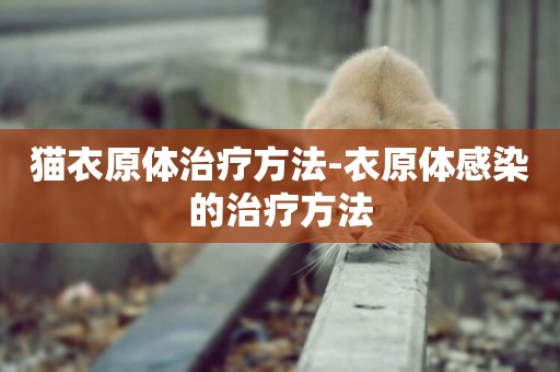 貓衣原體治療方法-衣原體感染的治療方法