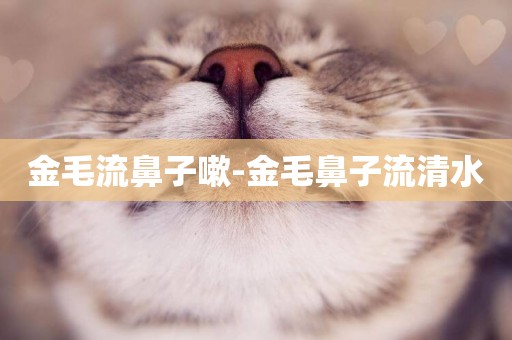 金毛流鼻子嗽-金毛鼻子流清水
