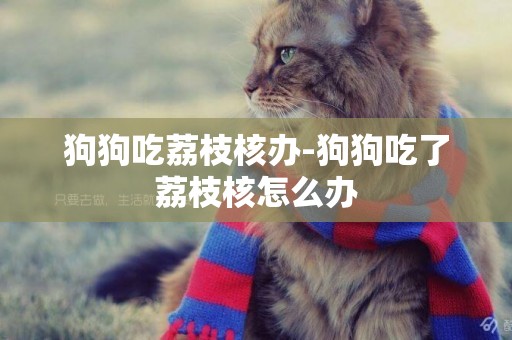 狗狗吃荔枝核辦-狗狗吃了荔枝核怎么辦