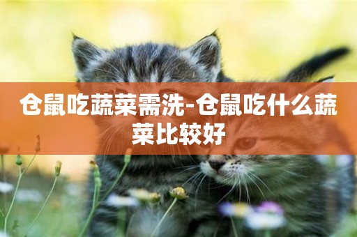 倉鼠吃蔬菜需洗-倉鼠吃什么蔬菜比較好
