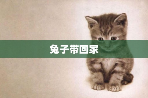 兔子帶回家