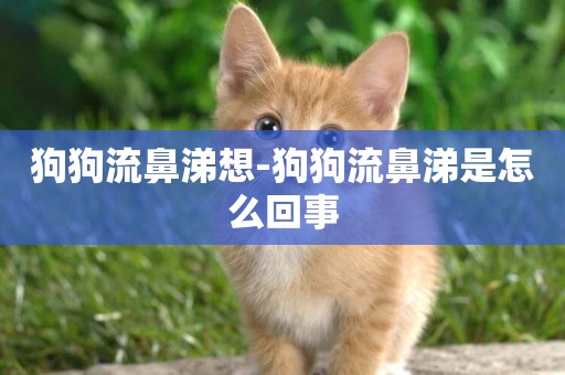 狗狗流鼻涕想-狗狗流鼻涕是怎么回事