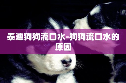 泰迪狗狗流口水-狗狗流口水的原因
