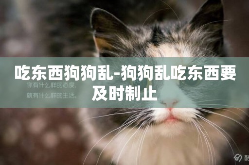吃東西狗狗亂-狗狗亂吃東西要及時制止