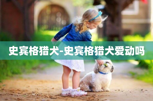 史賓格獵犬-史賓格獵犬愛動嗎