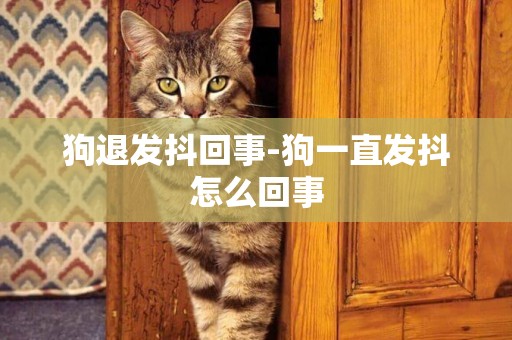 狗退發抖回事-狗一直發抖怎么回事