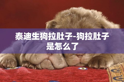 泰迪生狗拉肚子-狗拉肚子是怎么了